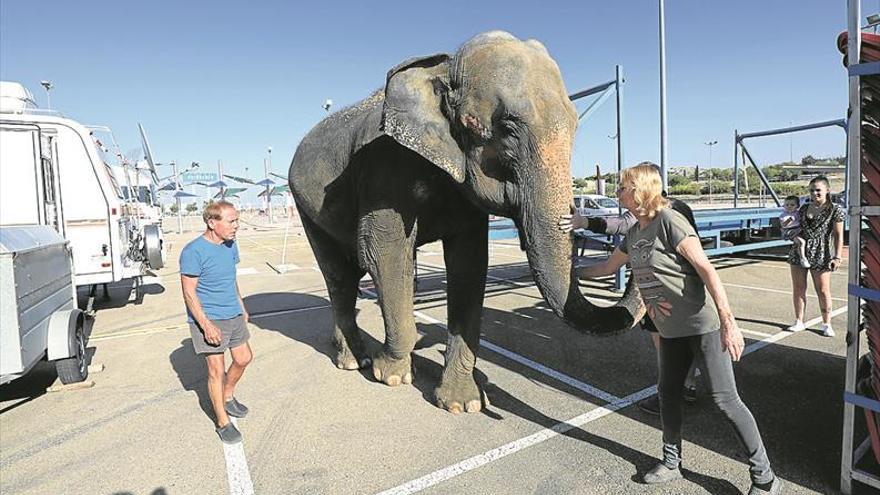 Podemos pide al Seprona que precinte el circo con animales