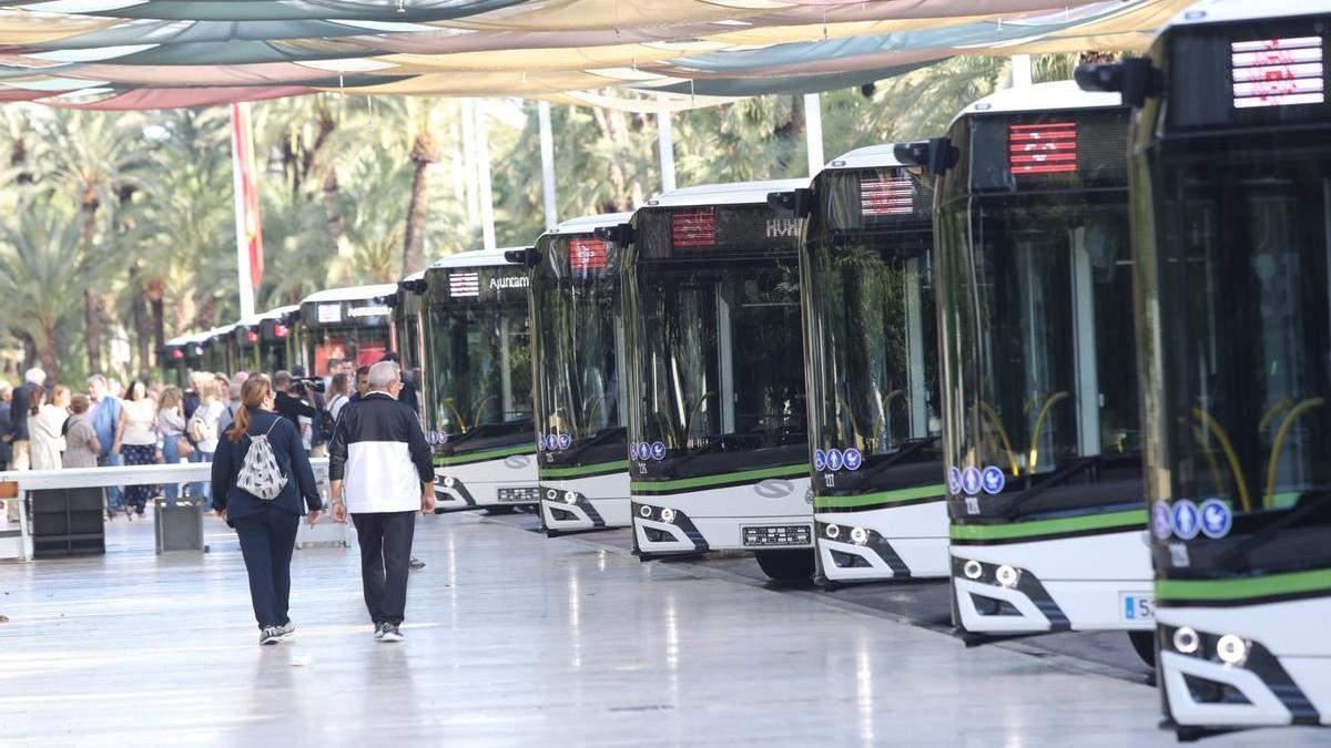 Los 17 nuevos autobuses híbridos de Elche