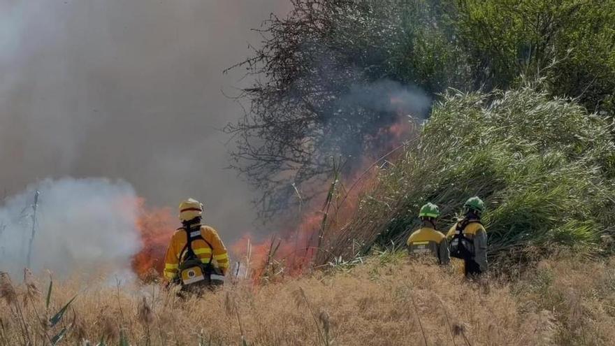 Incendio Murcia | Lluvia de ceniza en Alcantarilla procedente del incendio de la mota del río en Murcia