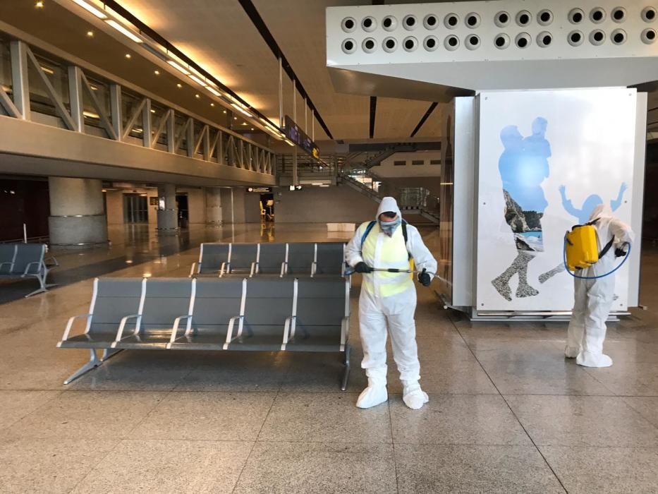 Efectivos de la UME en labores de desinfectación en el Aeropuerto de Málaga.