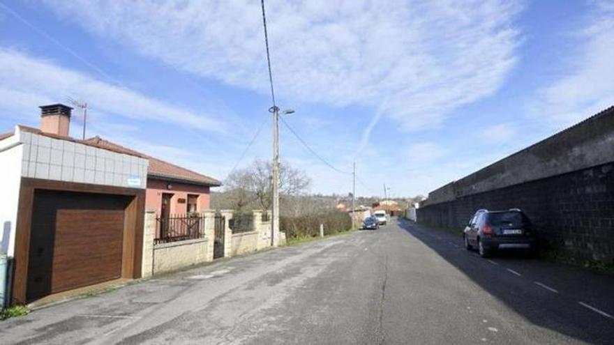 El terrible ataque de un pitbull a una vecina de Langreo: el Ayuntamiento indemnizará a la víctima con 78.866 euros