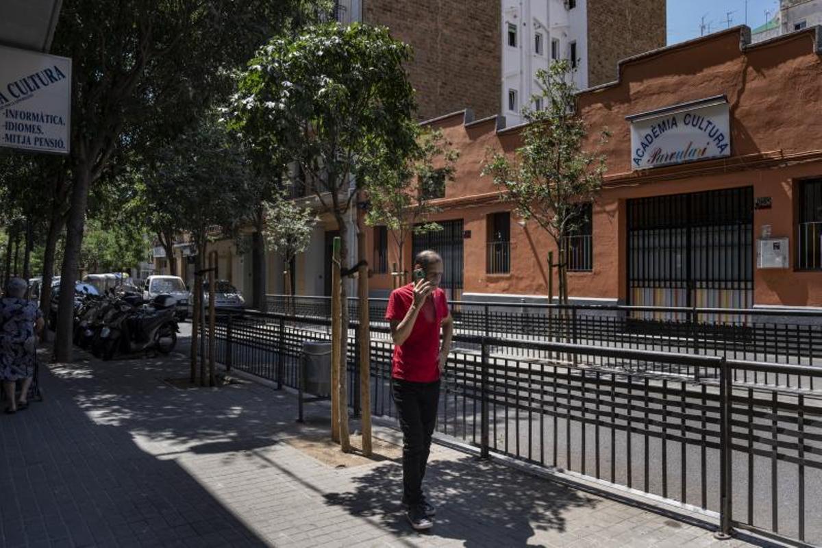 Los árboles plantados en la calle Doctor Martí Julià, frente a la Acadèmia Cultura de L'Hospitalet.