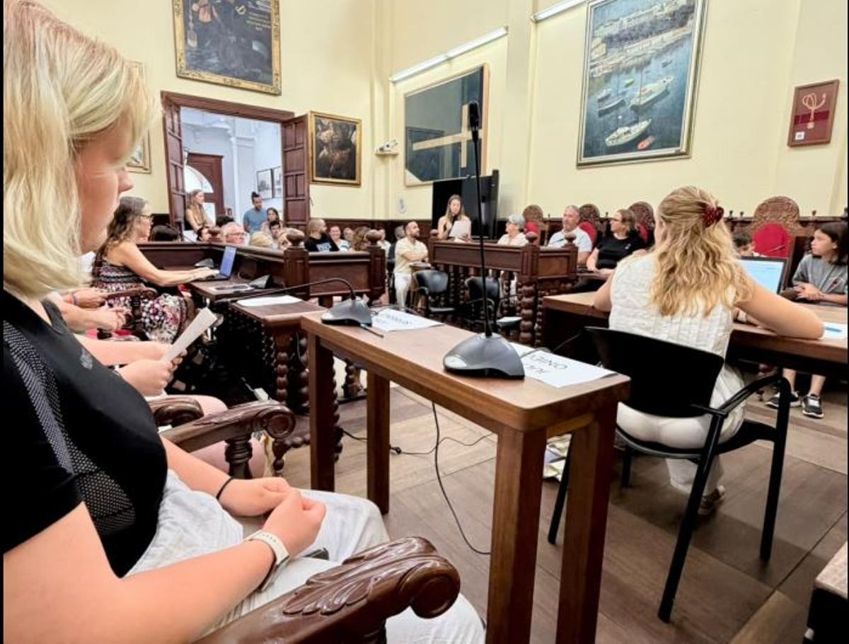 Una imagen del pleno celebrado el pasado viernes.