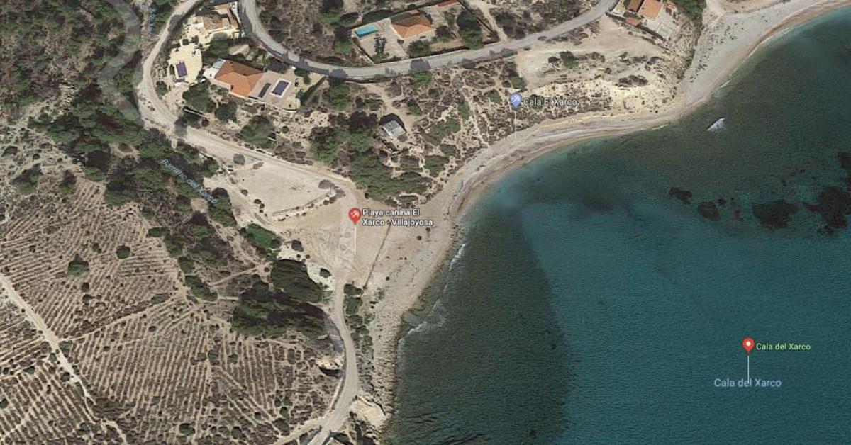 Las mejores playas para perros en la provincia de Alicante