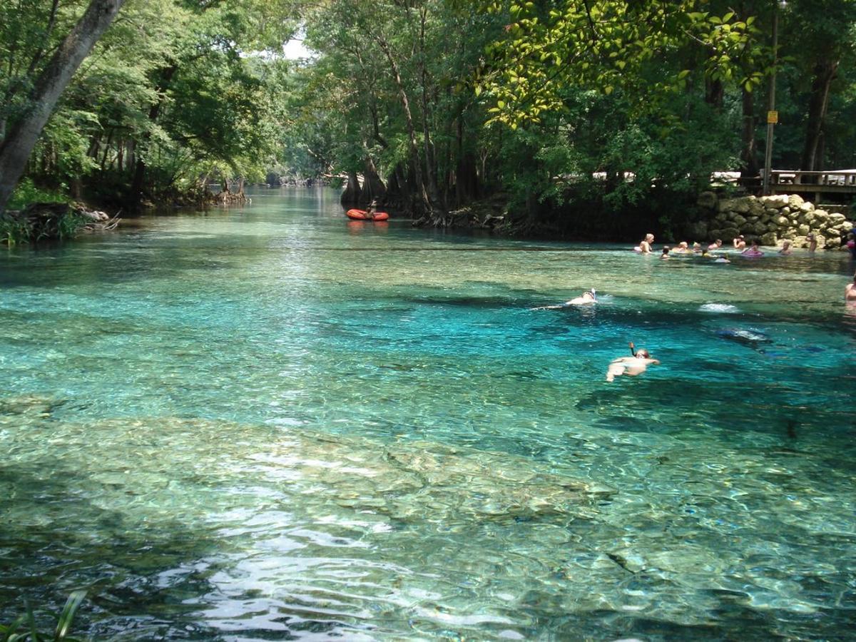 ginnie springs-1