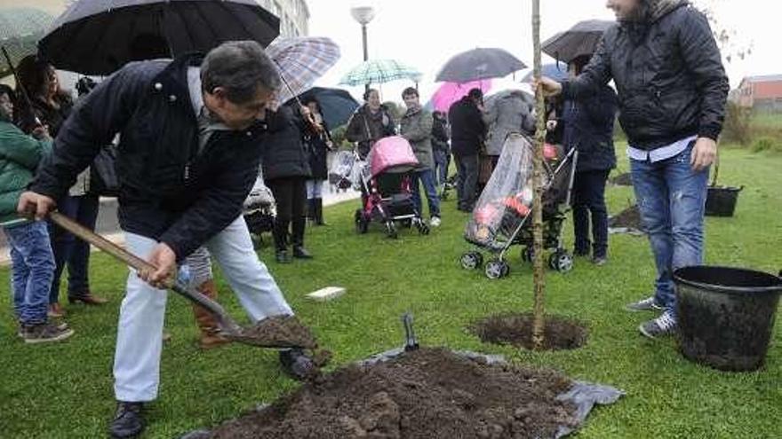 Dos hombres plantan un árbol, ayer, en Arteixo. / carlos pardellas