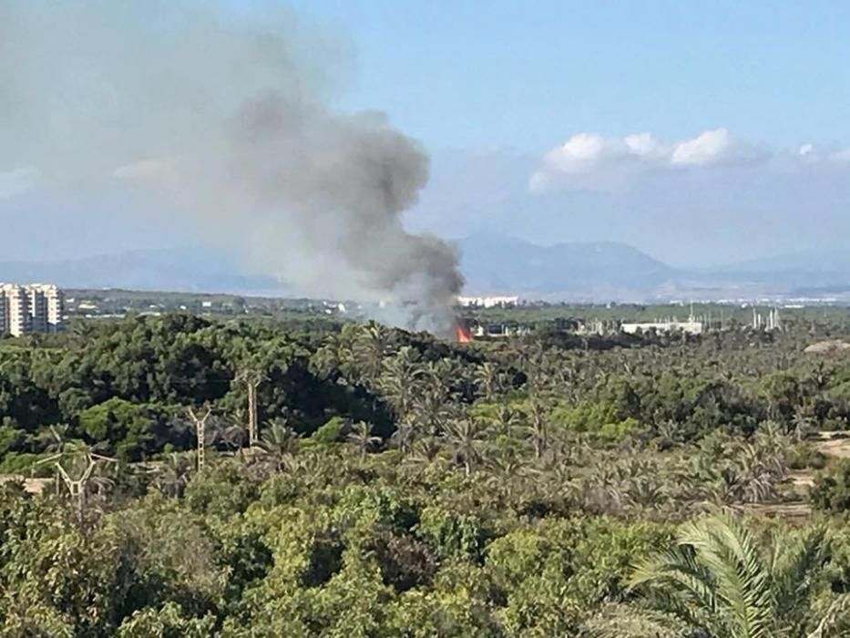 Incendio intencionado en Guardamar del Segura