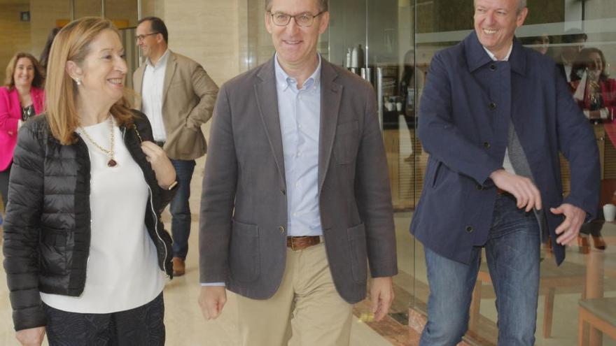 Ana Pastor, Núñez Feijóo y Alfonso Rueda, esta mañana antes de la junta directiva del PPdeG