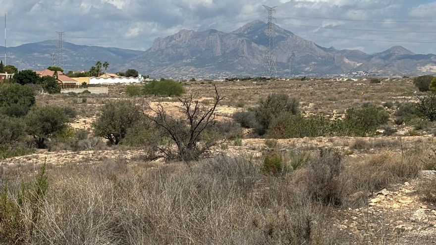 Los vecinos de Los Girasoles de San Vicente no quieren un punto verde