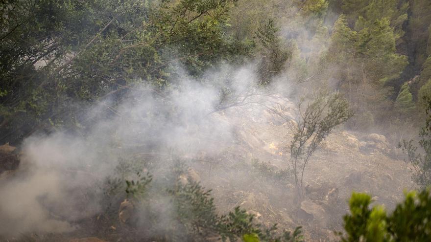 Un incendio, ya extinguido, afecta de madrugada a una zona de pinar de la Serra d&#039;Espadà