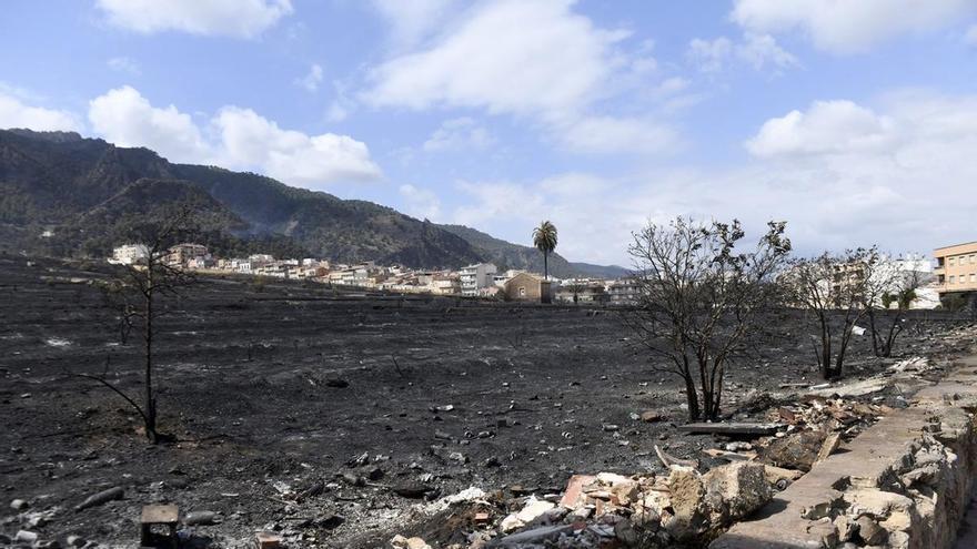 Alarma por otros dos incendios en Los Garres, uno en la zona ya quemada y el otro en un terreno agrícola muy cercano