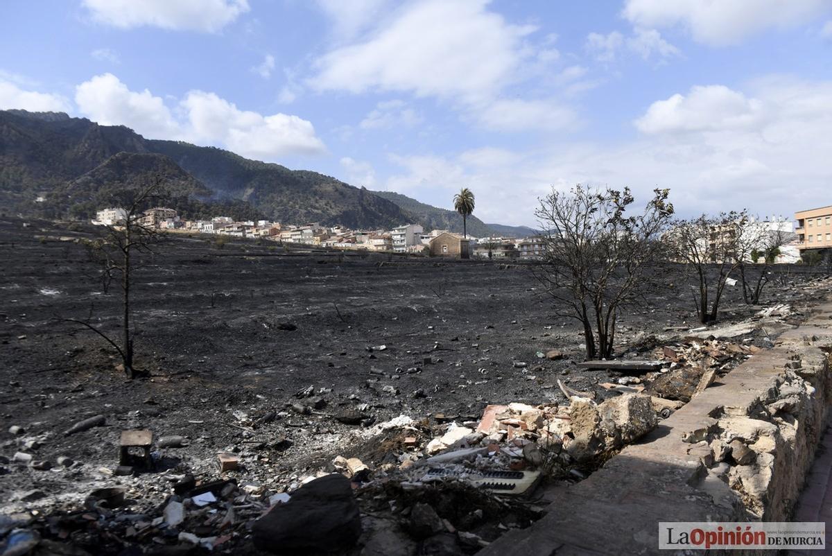 El día después del incendio de El Valle-Carrascoy, en imágenes