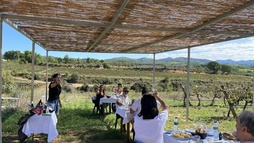 La Coopeativa de Viver impulsa la organización de actividades en plena naturaleza.