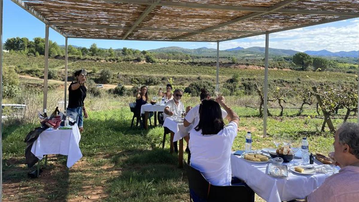 La Coopeativa de Viver impulsa la organización de actividades en plena naturaleza.