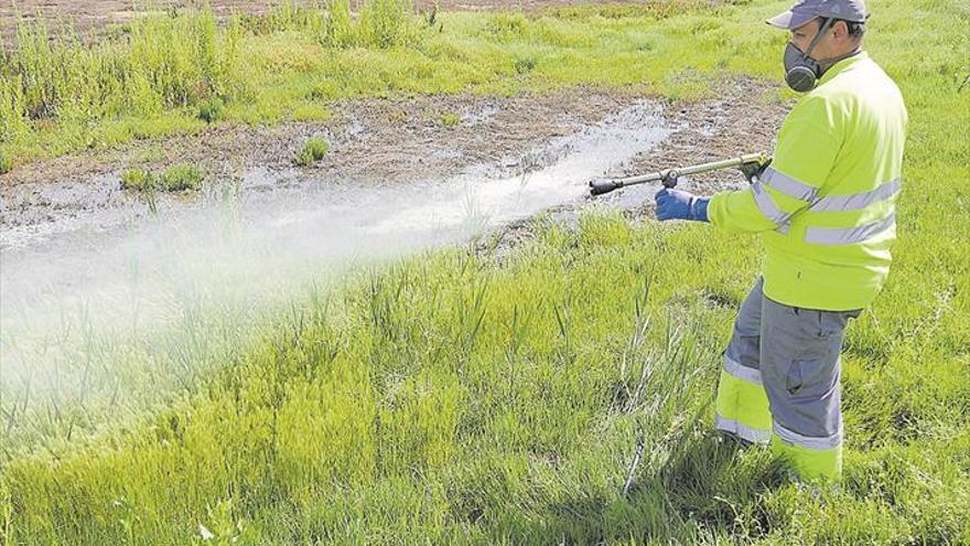 Clamor entre los agricultores ante la ineficacia para mitigar los mosquitos