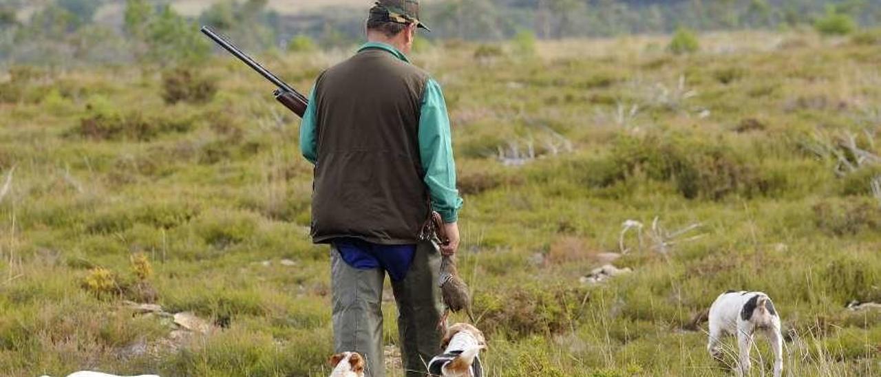 Un cazador con sus perros en montes de Vilatuxe en el otoño del año pasado. // Bernabé/Javier Lalín