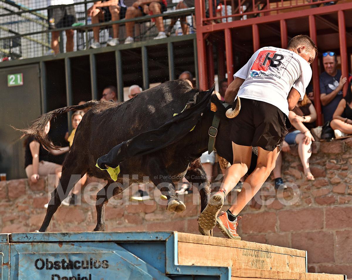 Bous a Vilafamés 2025 Bous a Vilafamés 2025