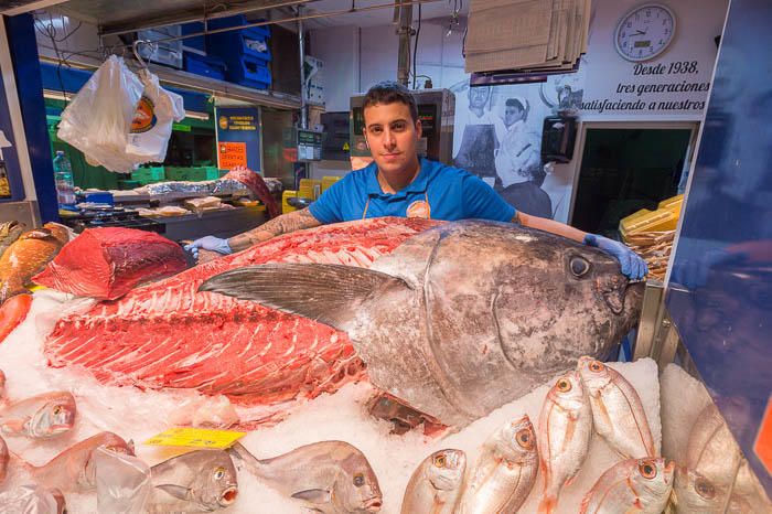 Atún de 300 kilos en la pescadería Adrián, en ...