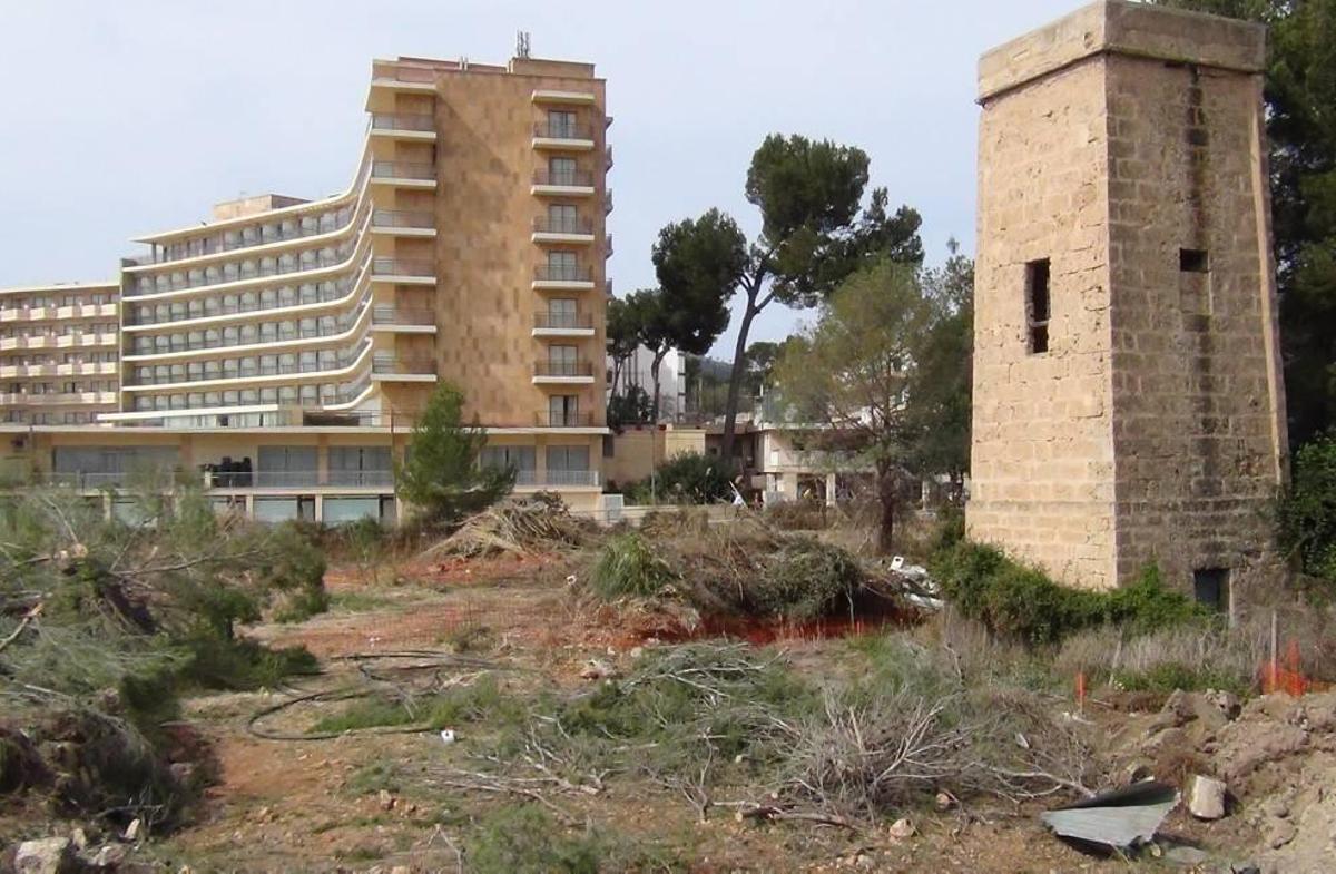 Las obras que se desarrollan en el entorno del molino.