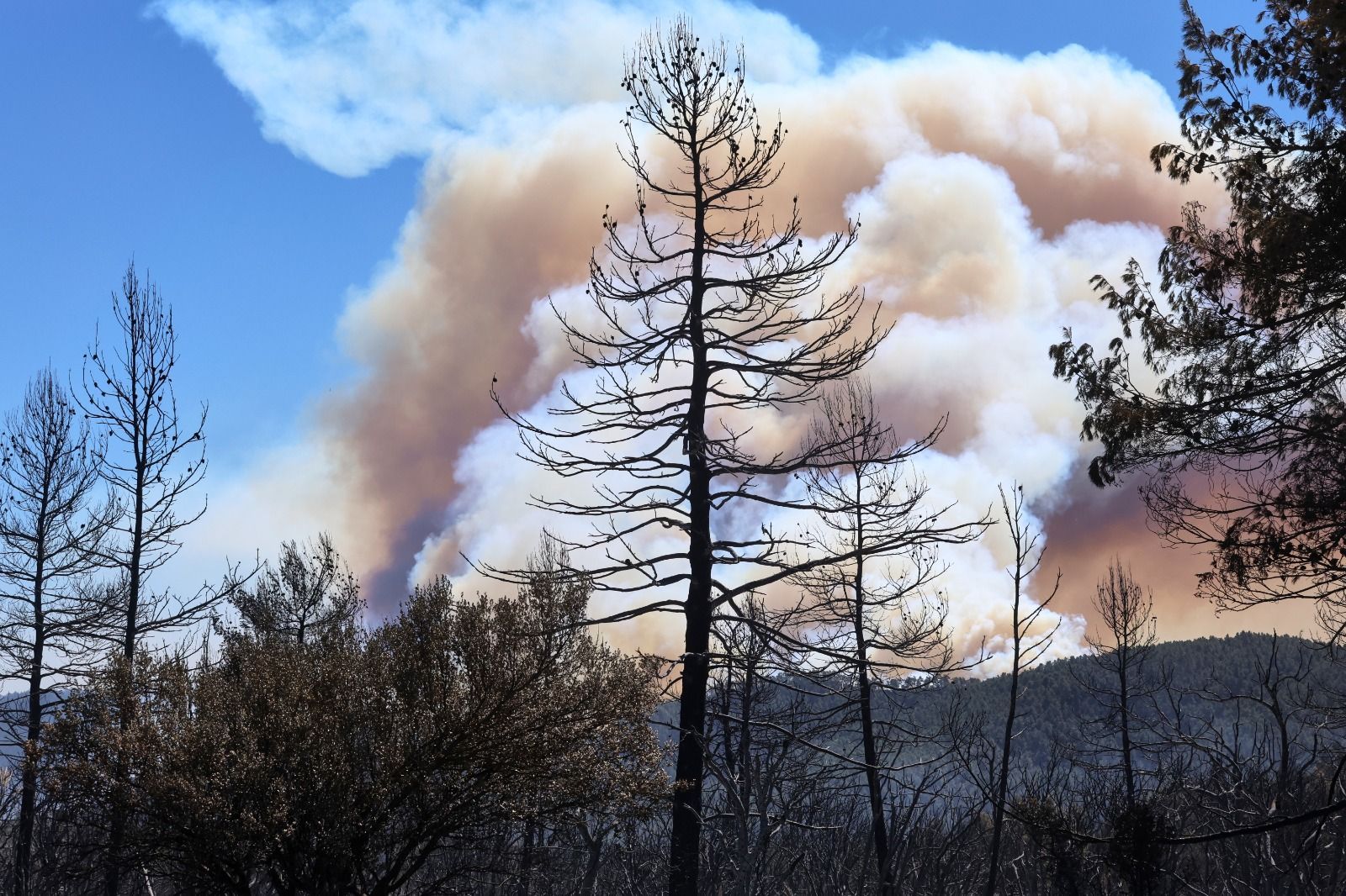 Las imágenes del incendio forestal en el Alto Mijares