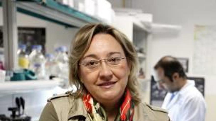 Premio para Ángela Nieto,  del Instituto de Neurociencias