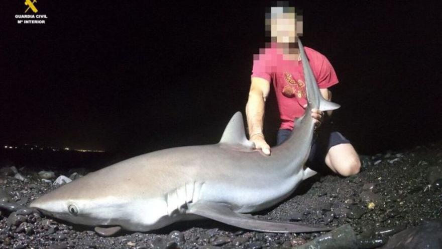 Detenido por organizar excursiones para pescar en Canarias rayas y tiburones protegidos