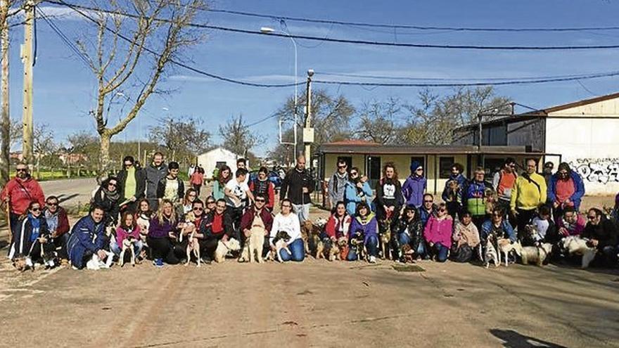 El mejor paseo para ellos