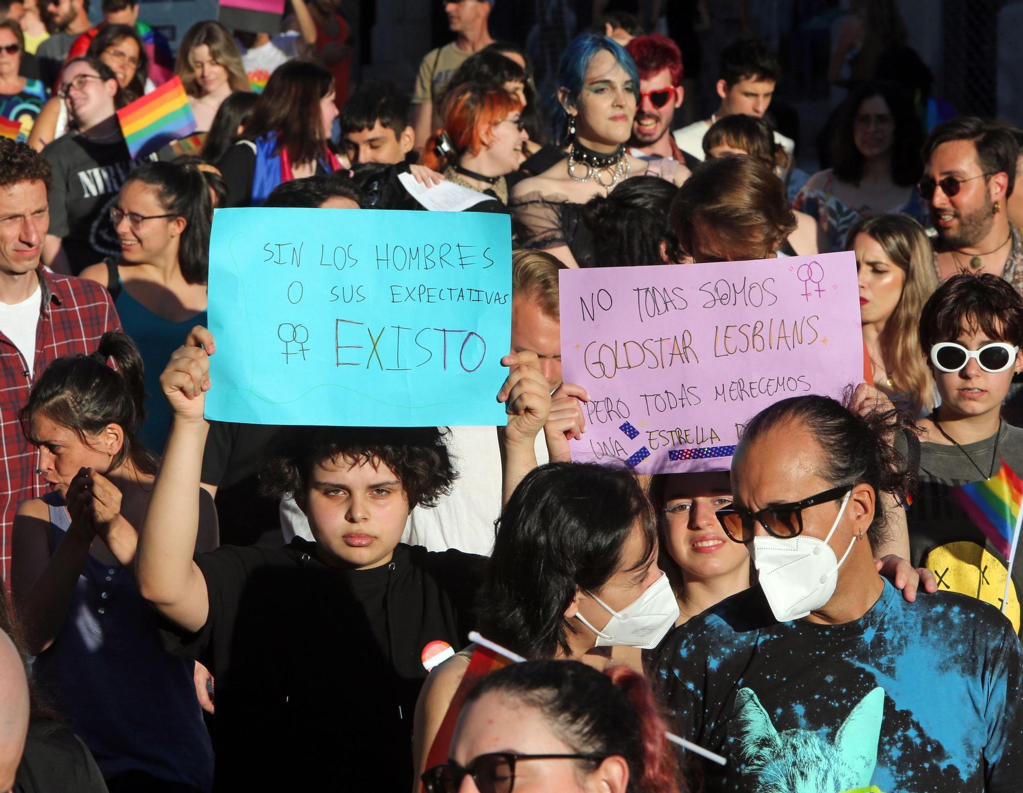 Paso firme en defensa de los derechos LGTBI en Vigo