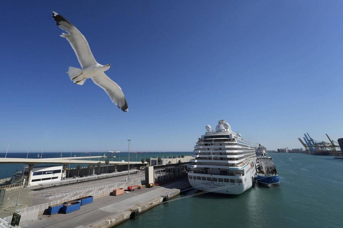 Cruceros en el muelle Adossat del Port de Barcelona.