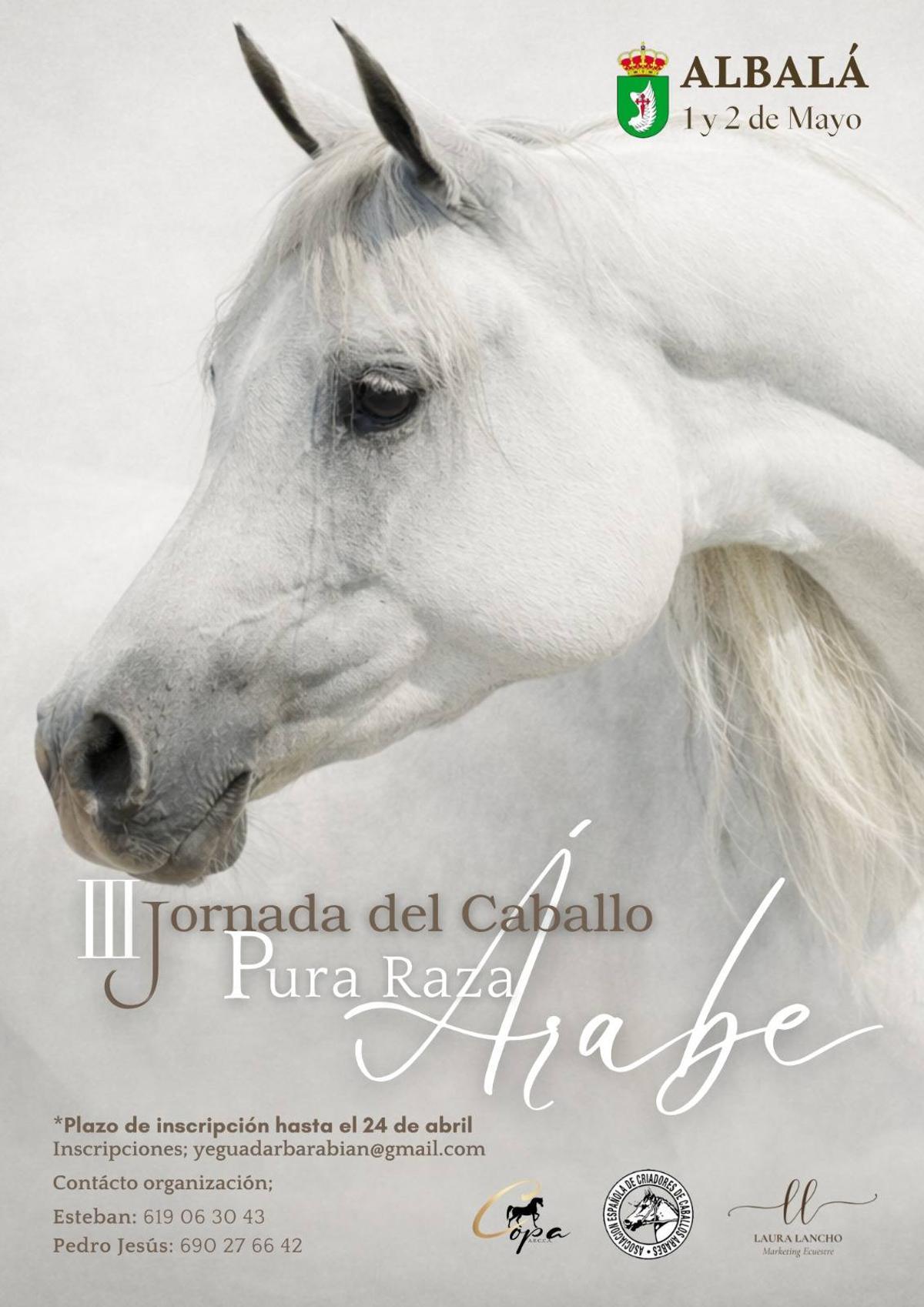 III Jornada del Caballo Pura Raza Árabe.