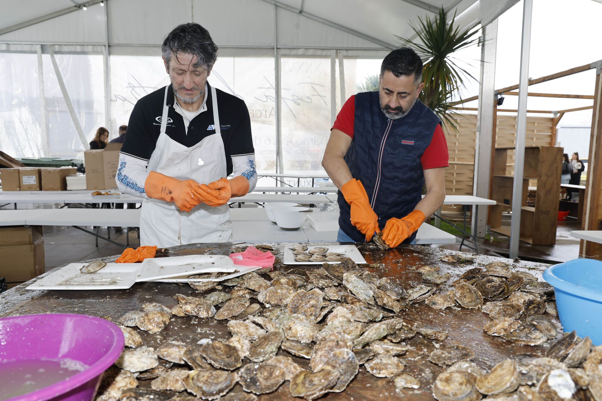 Miles de personas abarrotan la popular fiesta gastronómica para disfrutar del sabroso molusco