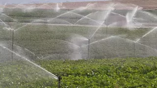 Nace AgroSpace, un proyecto para enfrentar el cambio climático que usa tecnologías espaciales en zonas rurales