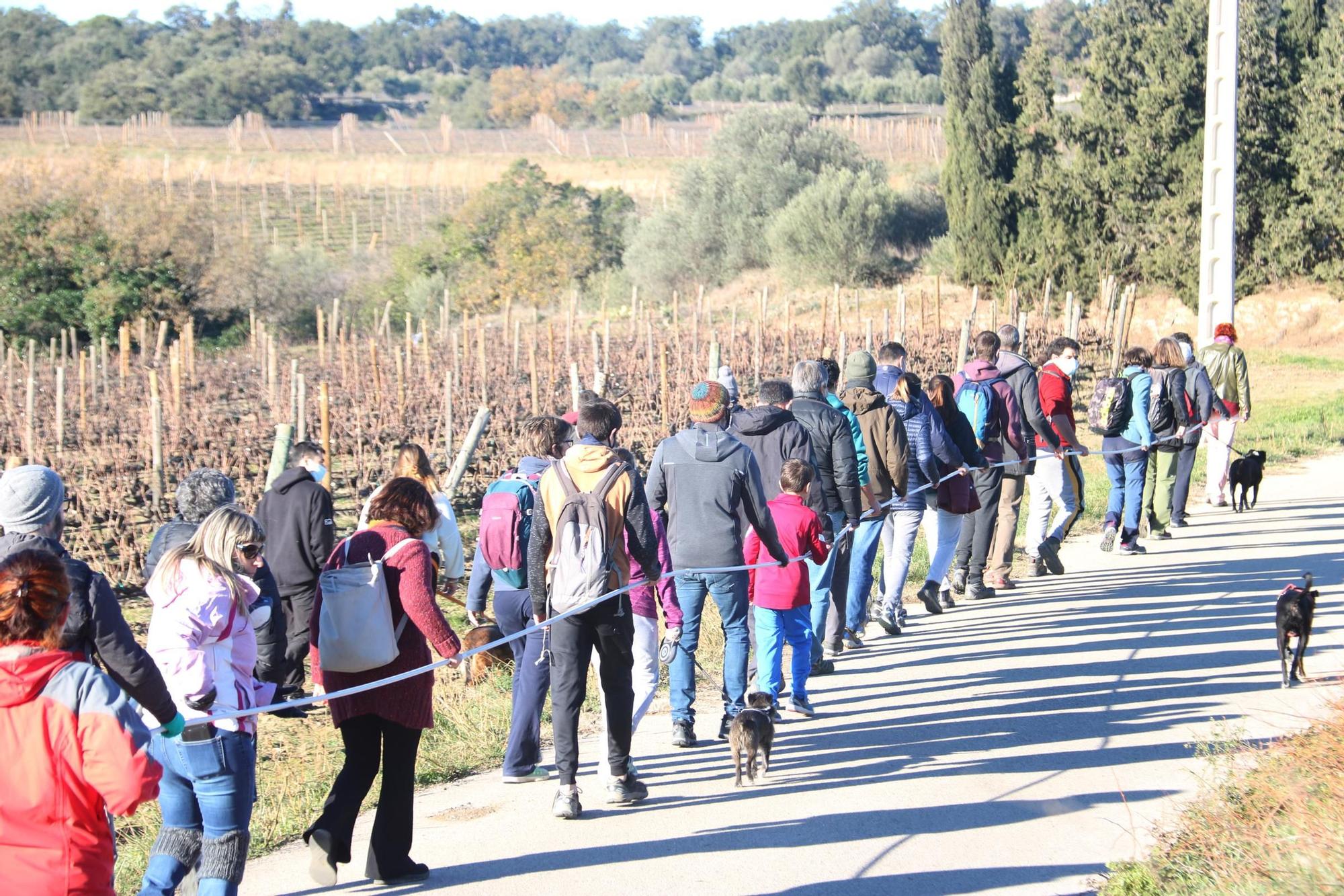 Els veïns d'Espolla que han participat en la caminada pujant al turó amb la vara que simula una pala de l'aerogenerador