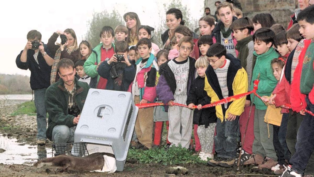 Escolars dels pobles del voltant durant l'alliberament d'una llúdriga al Fluvià.