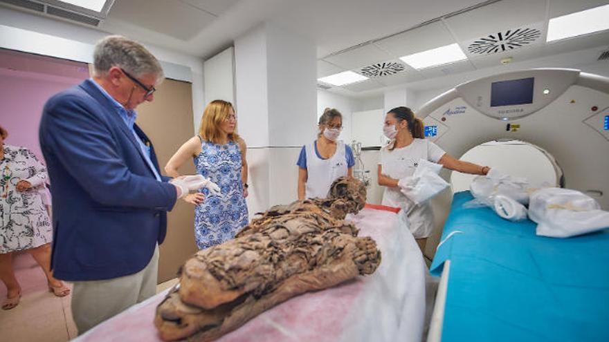 Participan especialistas en imagen, patología, antropología biológica, conservación e informática.