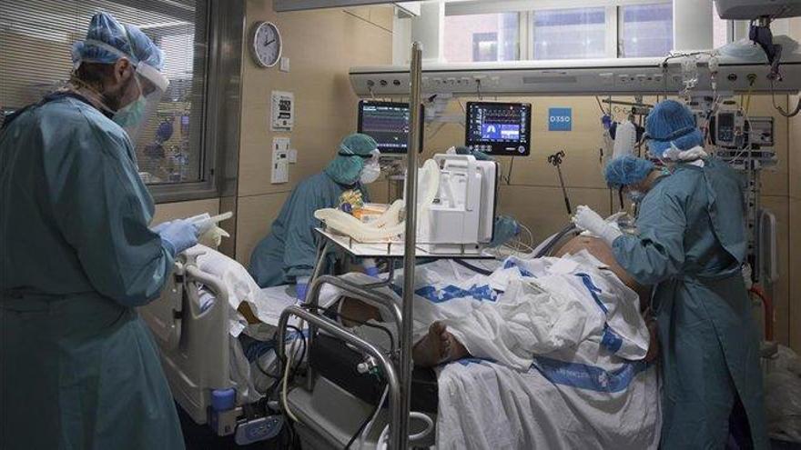 Coronavirus en España: leve repunte de las muertes, pero siguen por debajo de las 350