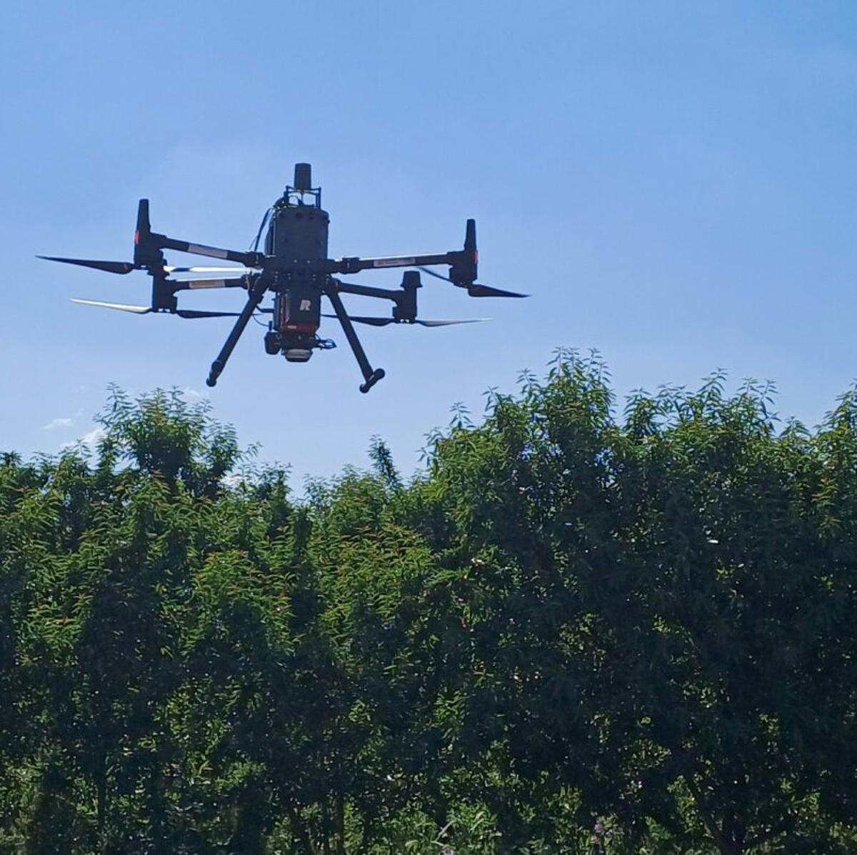 Un dron ajuda en les tasques agrícoles