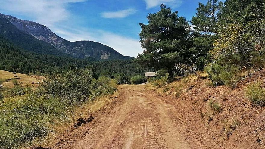 Una de les pistes forestals arreglades pels tècnics del parc del Cadí