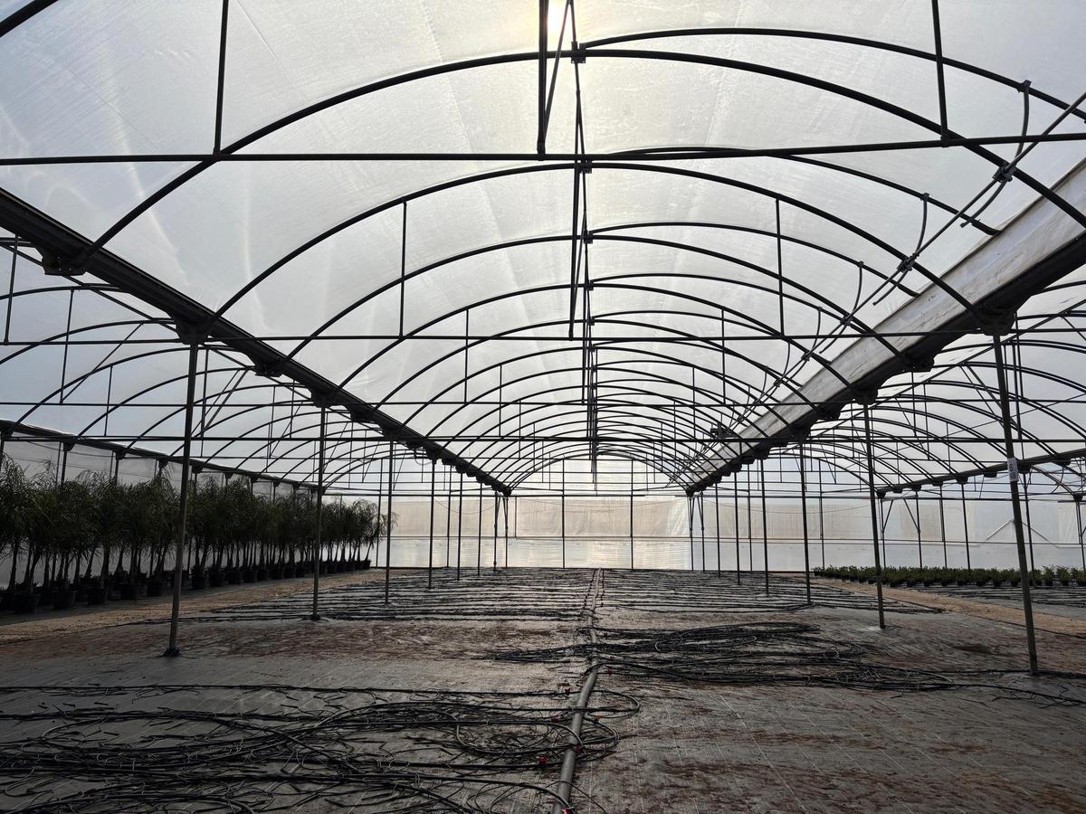 El vivero Vivercid reabre tras los trabajos de recuperación de la dana.