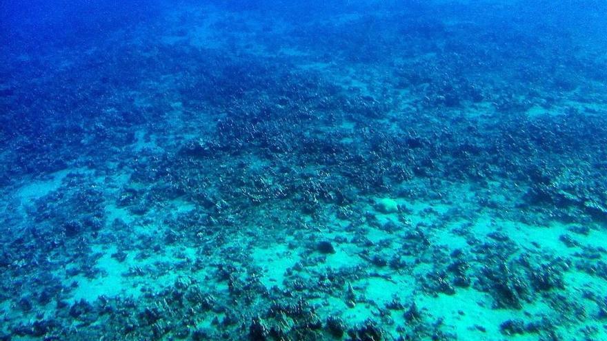 La exploración del fondo oceánico