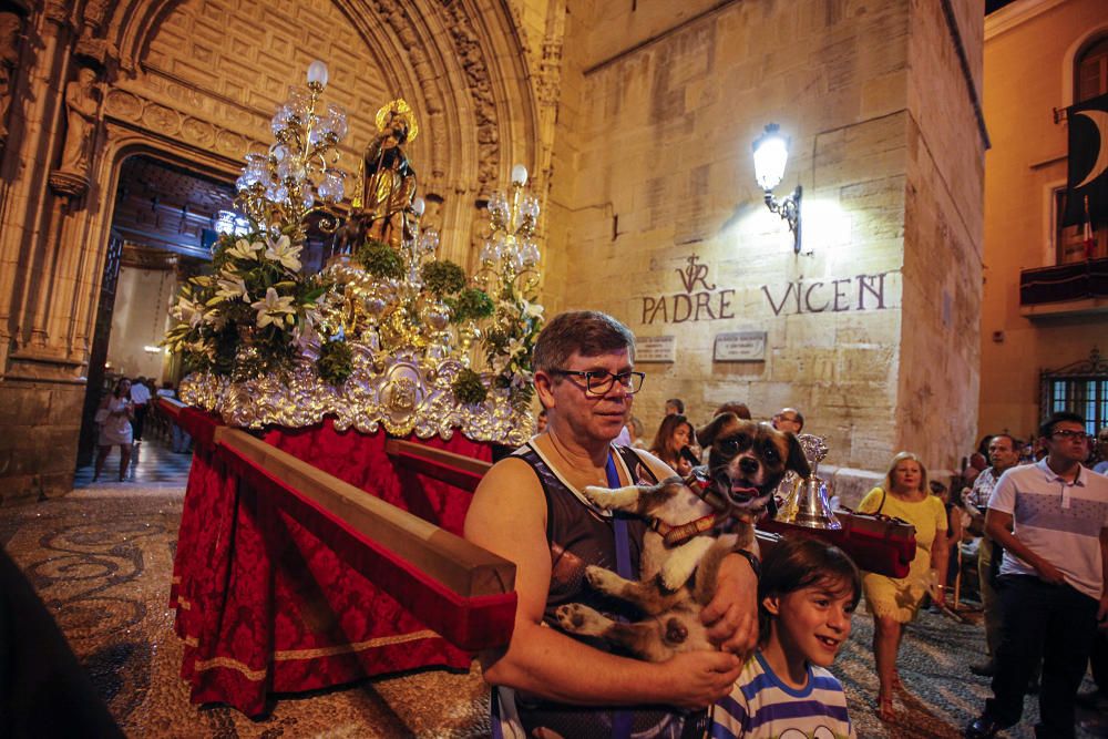 Callosa venera a su patrón San Roque