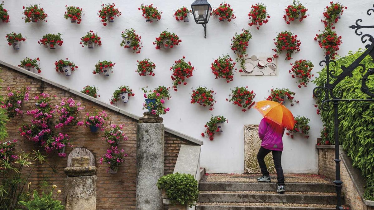 Las flores son uno de los símbolos de Córdoba