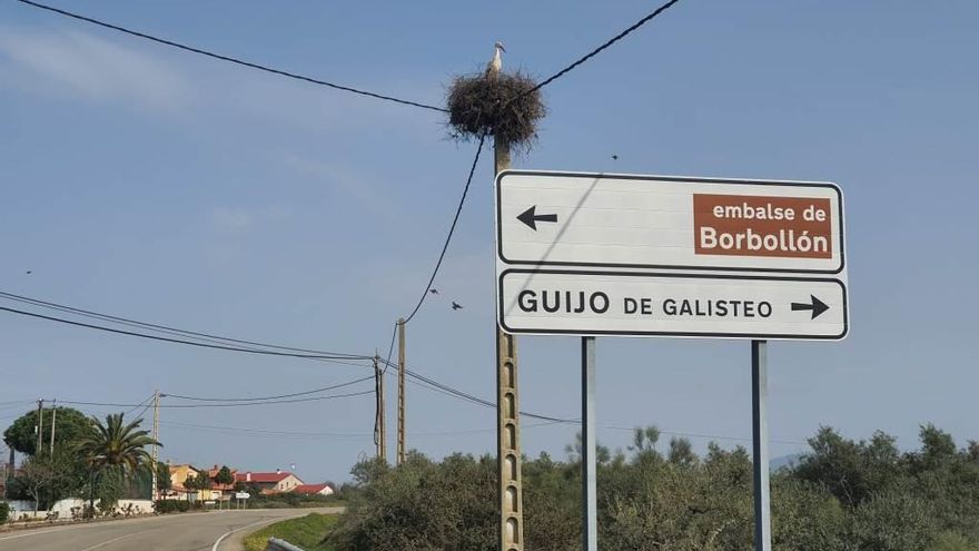 Las cigüeñas, patrimonio de la provincia