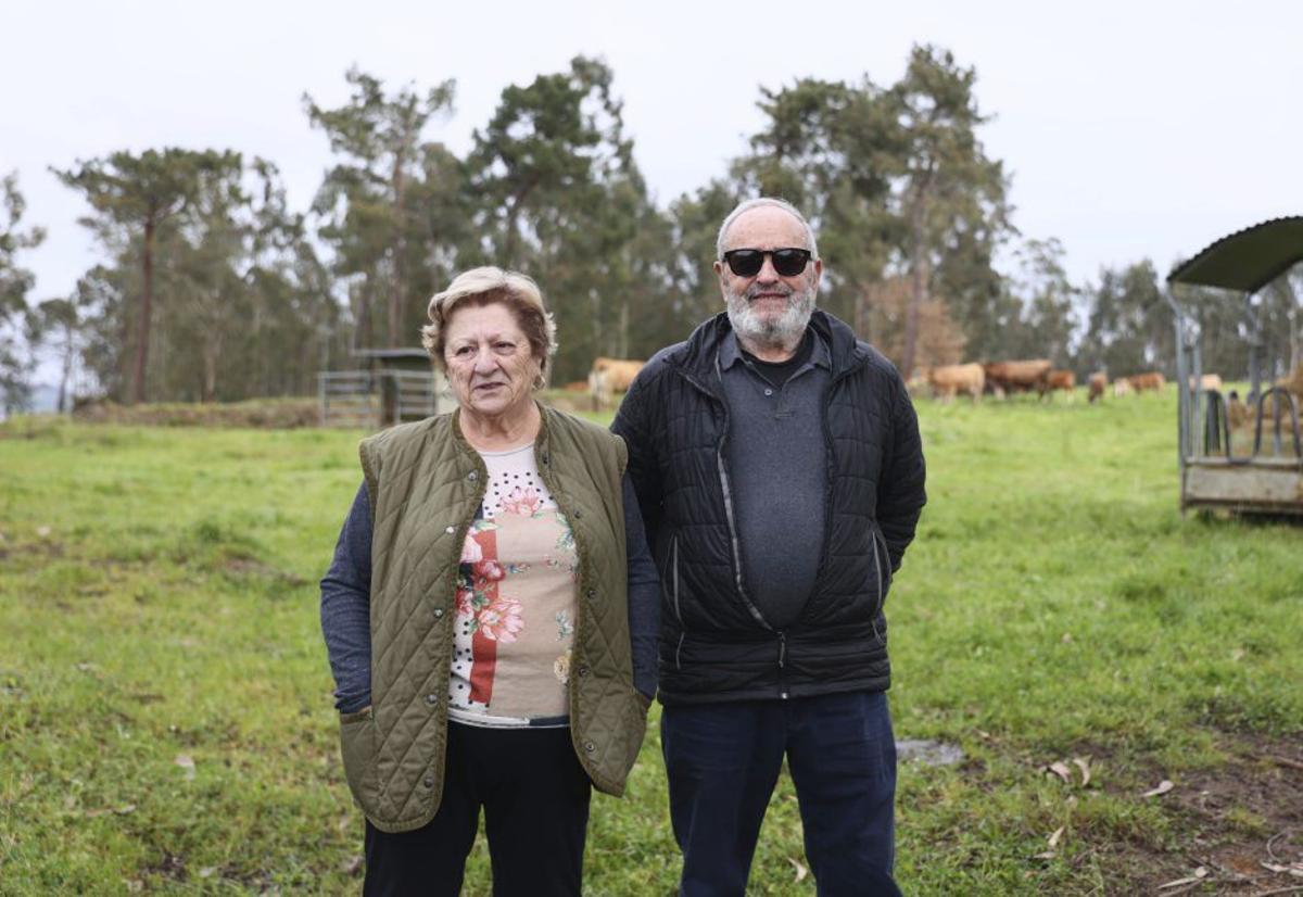 Los vecinos de La Belga, "a tope" con la ciudad deportiva del Oviedo