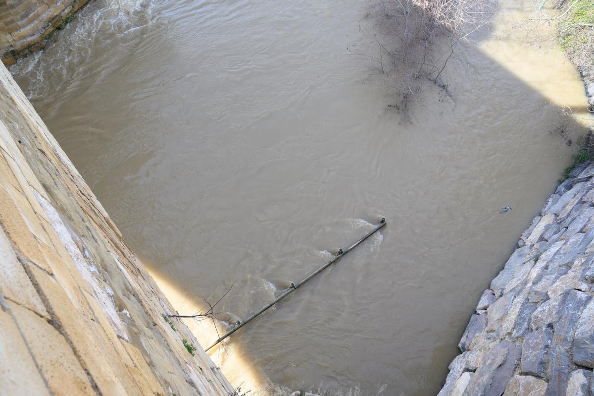 EN IMÁGENES | Crecida del río Ebro a la altura de Zaragoza