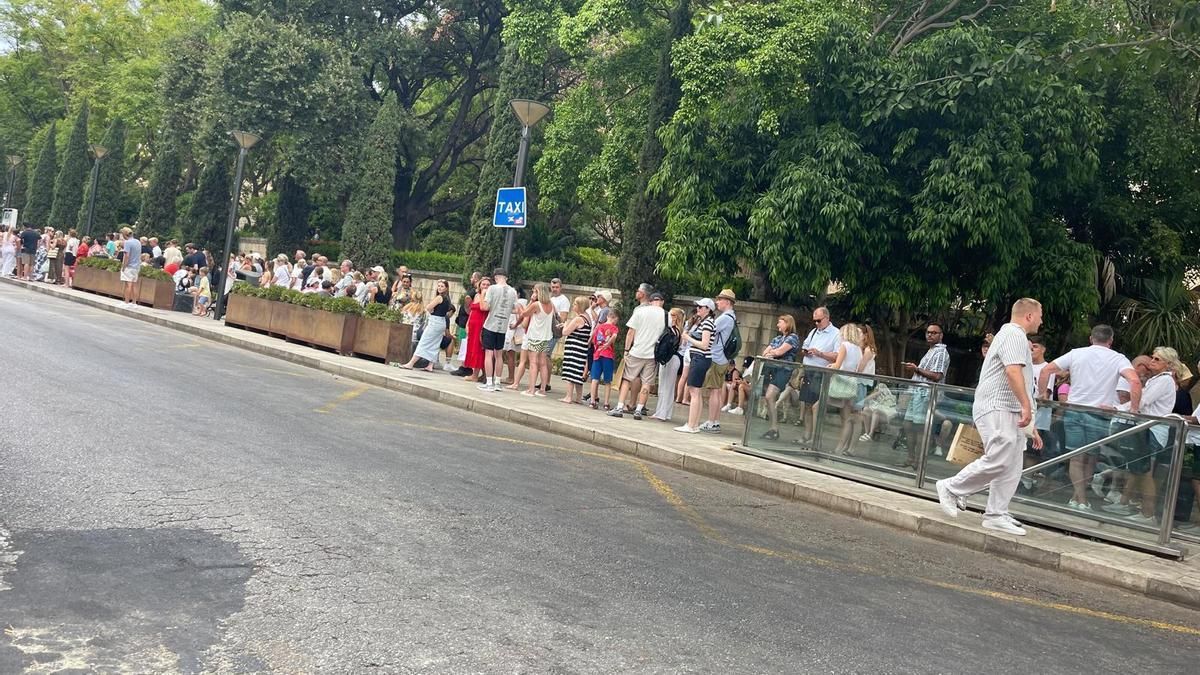 Über 60 Menschen warteten am Nachmittag auf ein Taxi am Taxistand am Carrer Antoni Maura.