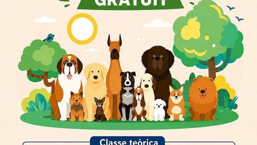 un curso gratuito de adiestramiento canino para mejorar la convivencia y el bienestar animal