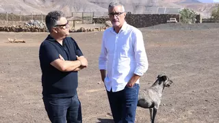 LanzÁnimal: un centro pionero en Lanzarote que une el bienestar animal y la terapia para colectivos vulnerables