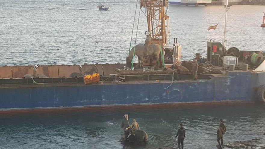 El Cabildo retira las esculturas de caballos de la bahía de Naos