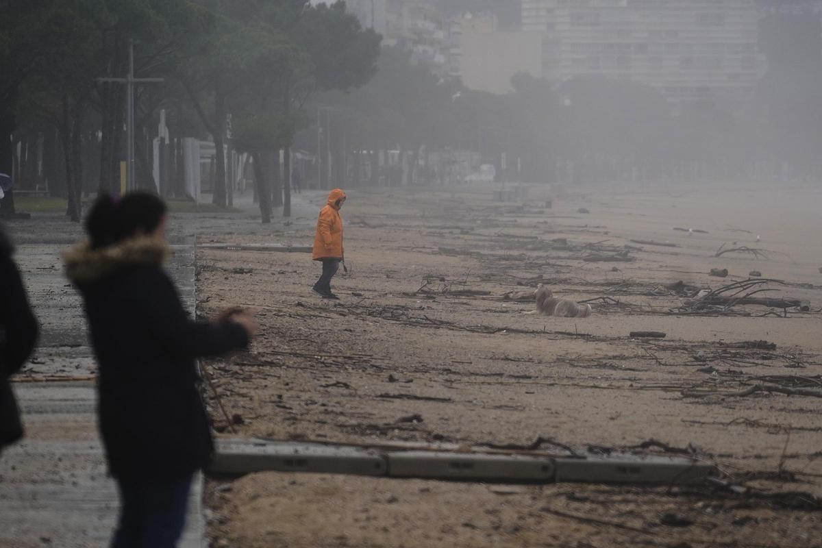 Imatges de la balena morta arrossegada pel temporal a la costa de Platja d'Aro